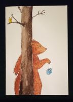 Bär 2